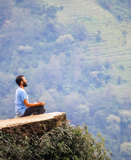 Selbststeuerung, eigenständige Entwicklung