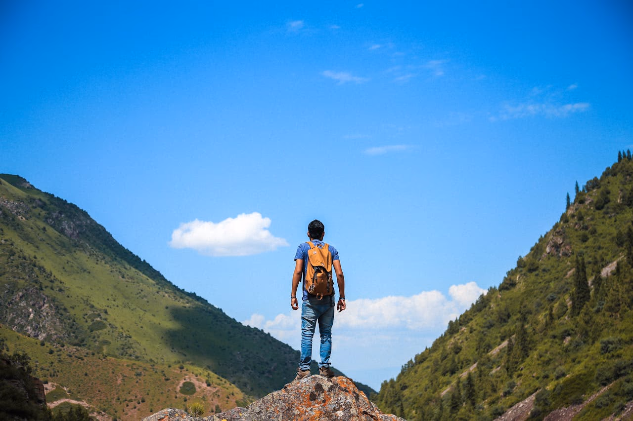 Langfristige Entwicklung